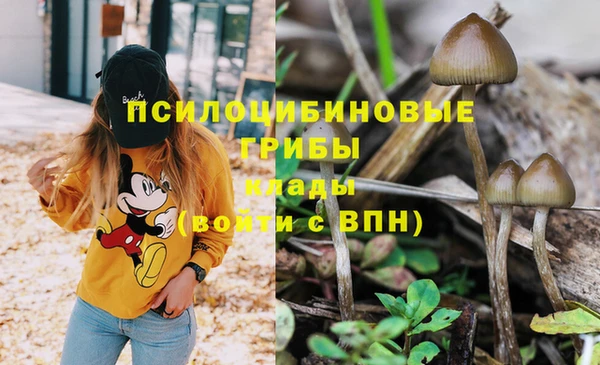 а пвп мука Медногорск