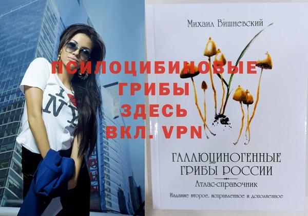 а пвп мука Медногорск