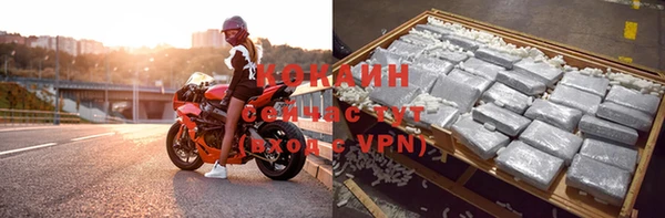 стаф Медвежьегорск
